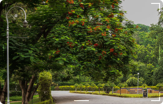 50 Places Of Lahore, Punjab Pakistan 15 Places Of Lahore: Bagh-e-Jinnah