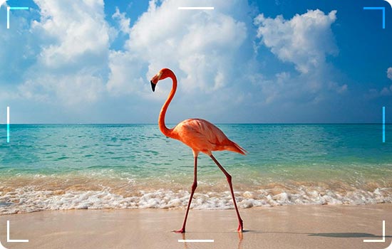 Tourist Attractions In Cuba-Republica de Cuba 10 Caya-Coco