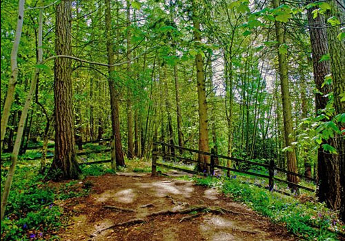 20 Interesting Facts About Pakistan 16 20 Interesting Facts About Pakistan