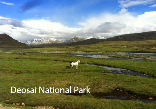 Ultimate Travel Guide to Skardu- Take A Skardu Tour Today 8 Ultimate Travel Guide to Skardu- Take A Skardu Tour Today