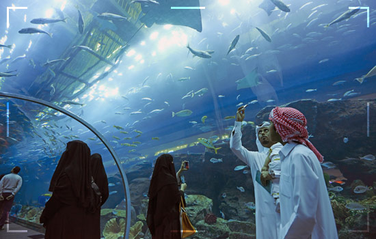 Tourism in Dubai; Top 10 Best Places to Visit in Dubai 3 Places in Dubai: Dubai-Aquarium