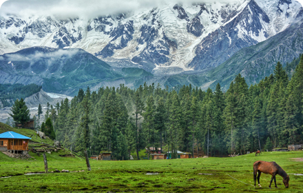 Hunza Naran Fairy Meadows Tour by Pakistan tour and travel - book now and get 15% on all tour packages with premium services Hunza Naran Fairy Meadows Tour by Pakistan tour and travel - book now and get 15% on all tour packages with premium services
