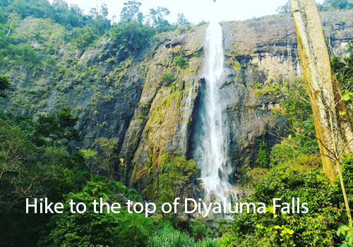 Top Places To Visit Sri Lanka 3 10 Must Visit Places In Sri Lanka