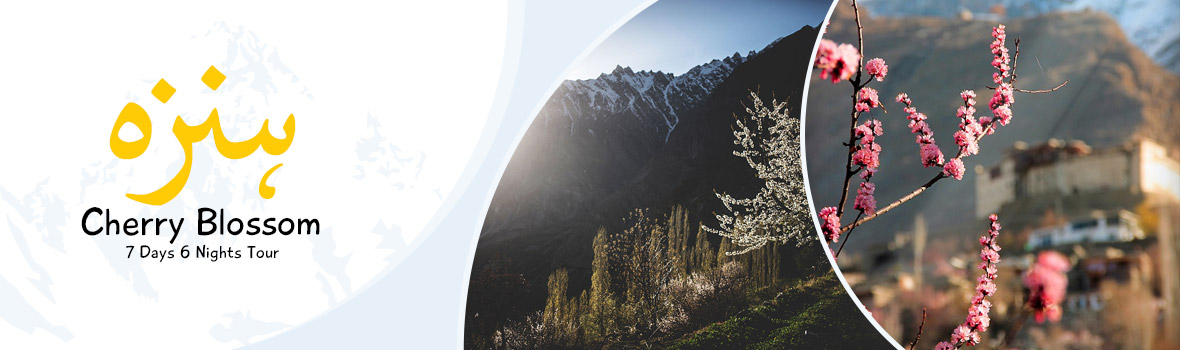 Cherry Blossom Hunza Package 2022 Cherry Blossom Hunza Package 2022