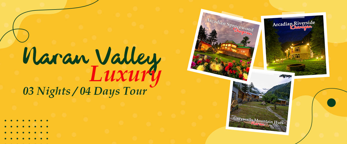 Naran Valley luxury Tours in 2020 Naran Valley Luxury Tour package