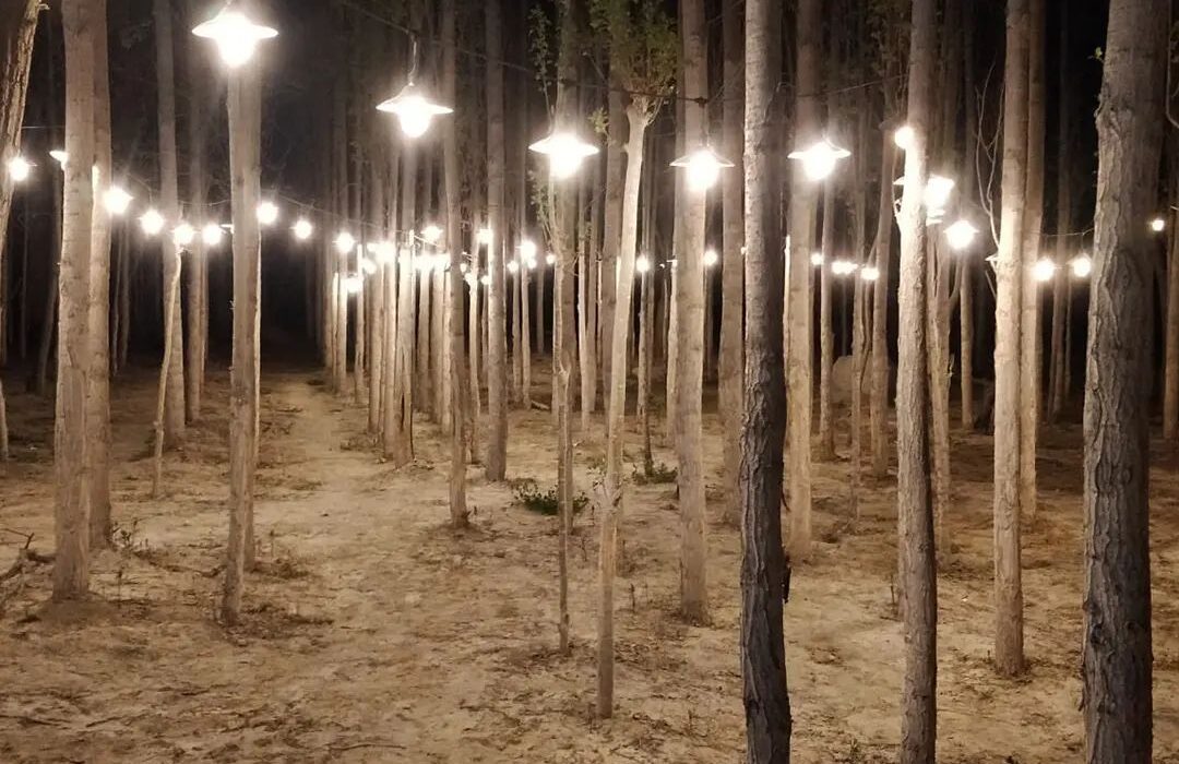 night view at Khoj Resot Shigar night view at Khoj Resot Shigar