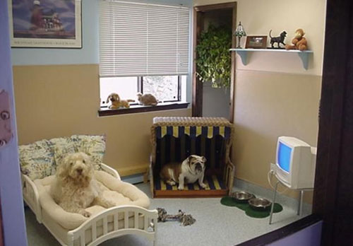 Travel Like A Pro: Expert Travel Tips And Tricks For Stressfree Tour 45 4 Tips For Traveling Abroad