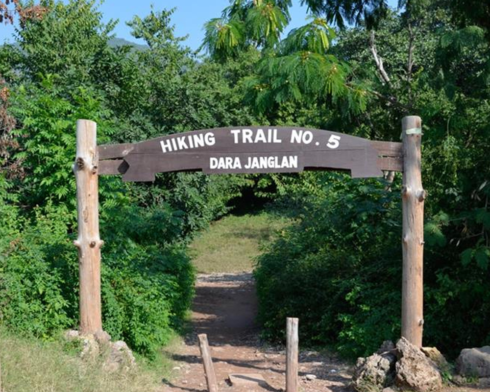 Top Hiking Trails in Islamabad 3 Trail-5