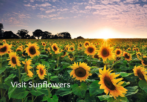 Best Places To Visit In Ukraine 6 Best Places to visit in Ukraine