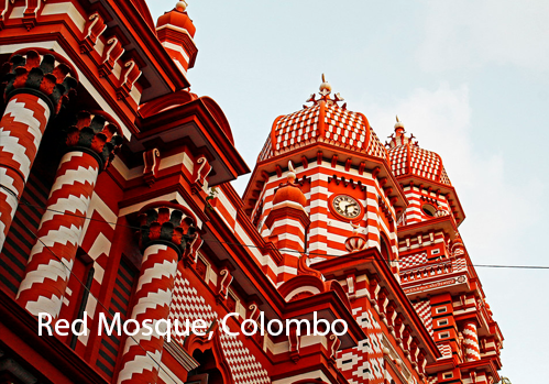 Top Places To Visit Sri Lanka 6 10 Must Visit Places In Sri Lanka