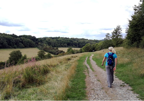 Phander Valley: Bewitching Beauty Land Of Pakistan 5 Phander Valley: Bewitching Beauty Land Of Pakistan