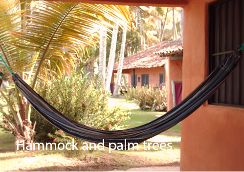 Top Places To Visit Sri Lanka 4 10 Must Visit Places In Sri Lanka