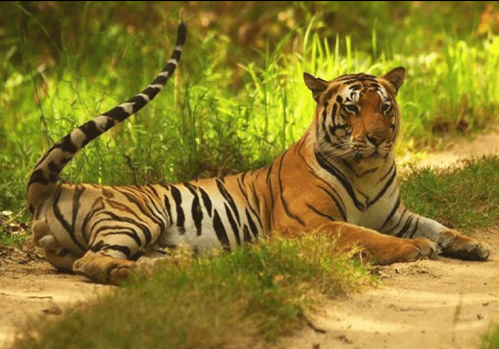 Complete Travel Guide To The Galapagos Islands 6 Complete Travel Guide To The Galapagos Islands