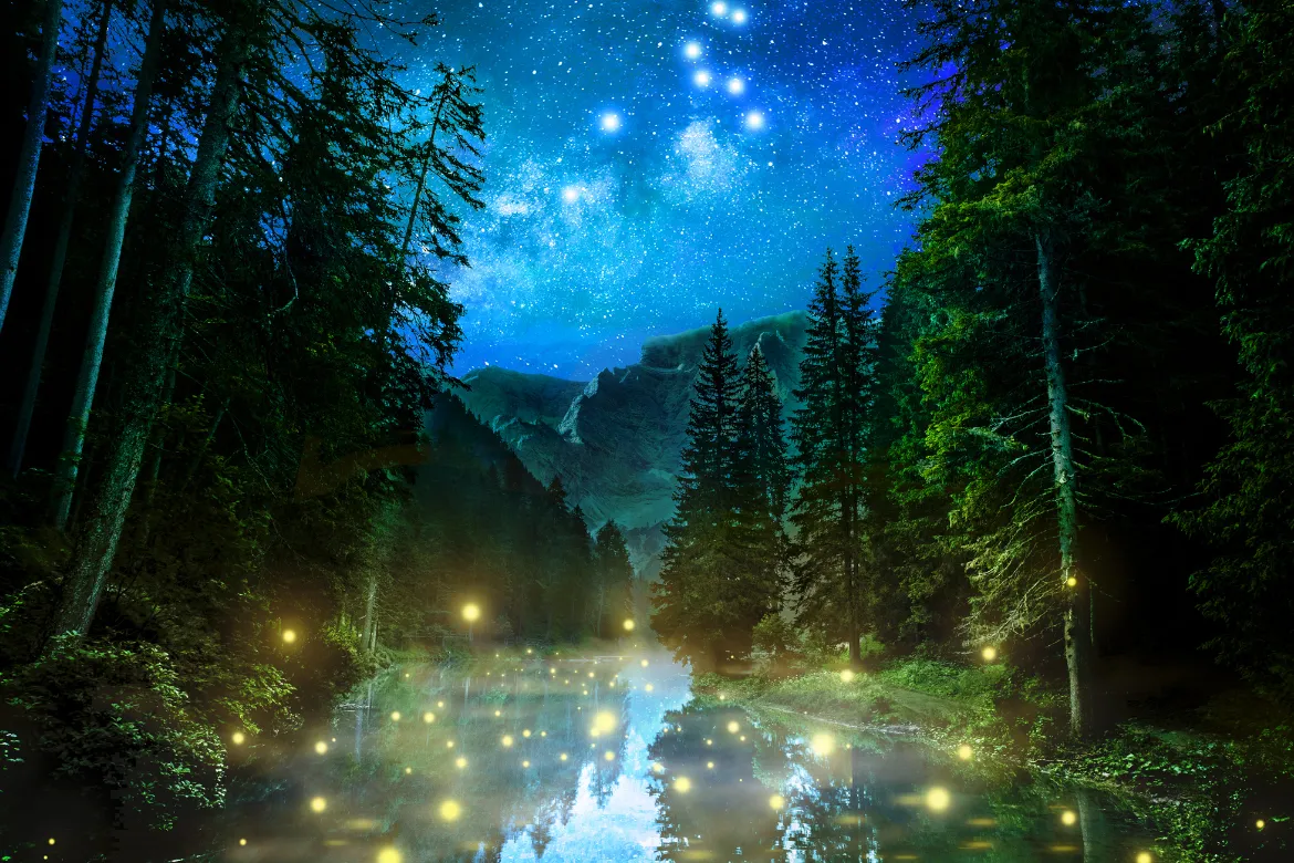 Top 10 Forests In Pakistan – Location, Area Covered, Types 9 Top 10 forests in Pakistan - Ziarat Forest