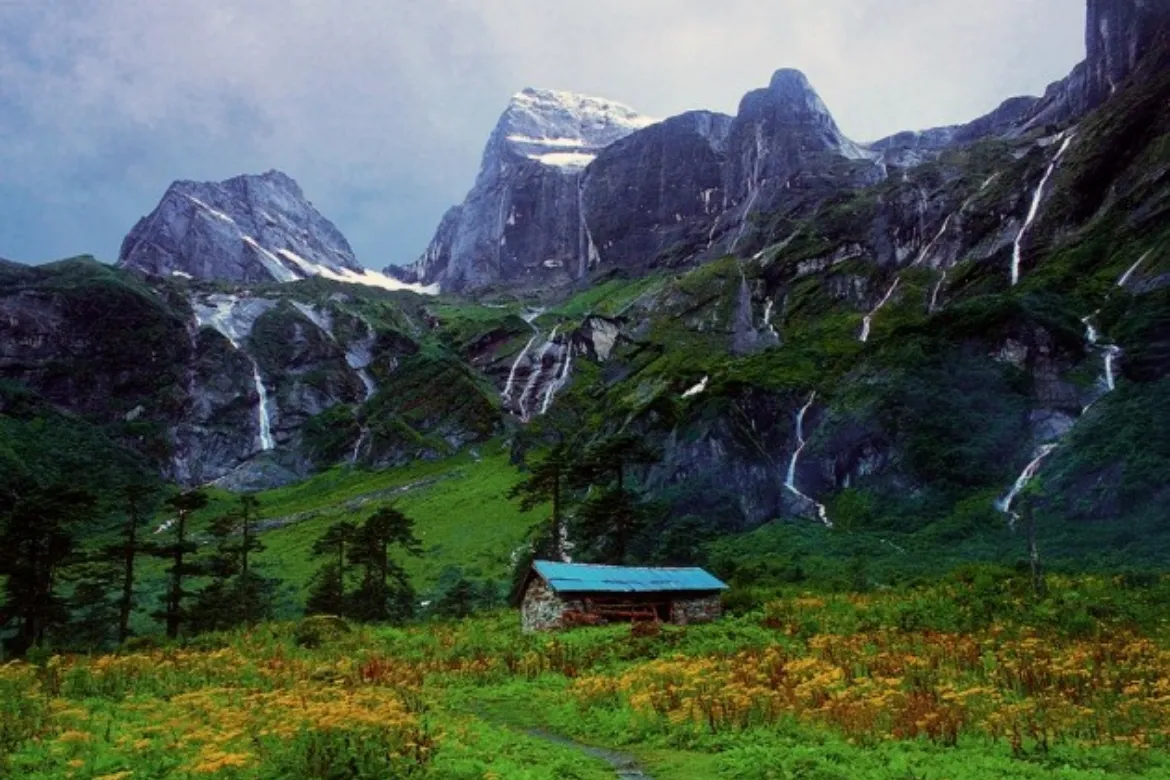 Top 10 Forests In Pakistan – Location, Area Covered, Types 6 Top 10 Forests In Pakistan - Location, Area Covered, Types - Pakistan Tour n Travel