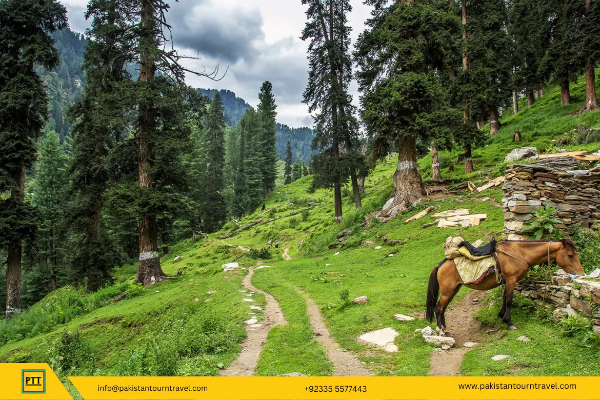 Siran Valley Manshera – Beautiful Valley in KPK 7 Siran Valley Manshera – A Beautiful Valley in KPK - Pakistan Tour n Travel