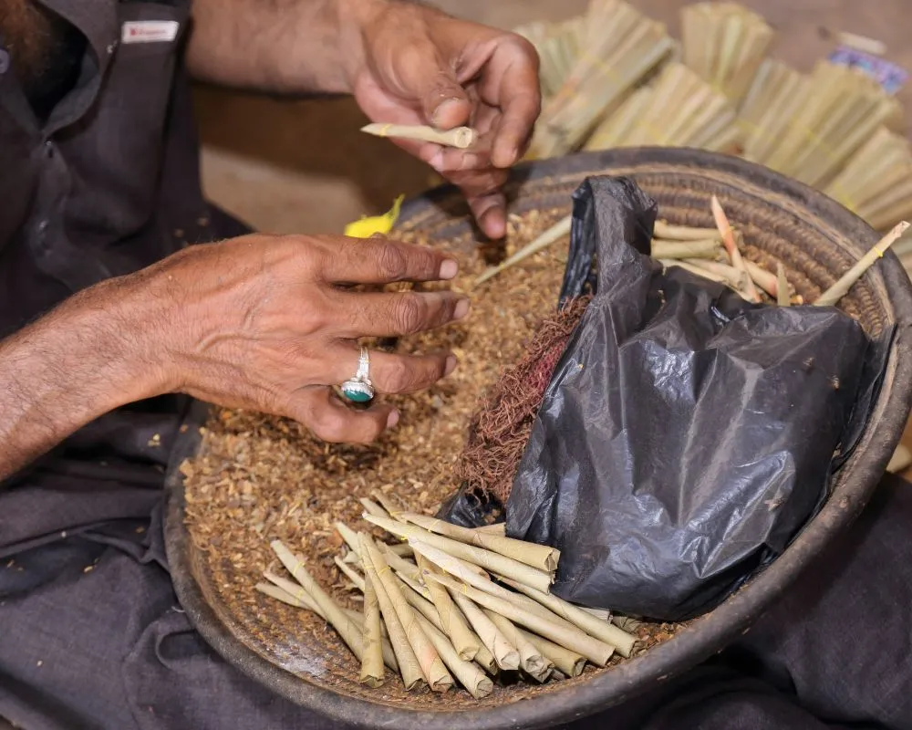 Tharparkar Pakistan: World’s Only Fertile Desert 8 Tharparkar Pakistan: World's Only Fertile Desert - Pakistan Tour n Travel