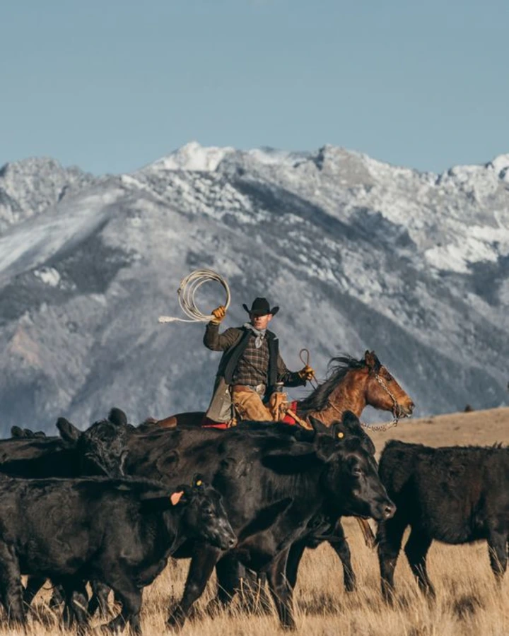 Top USA Outdoor Brands For Hiking Adventure 14 Prepare for Any Adventure With Products From Top USA Outdoor Brands